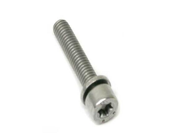 Torx Bolt (w/ Washer) (M6x30)